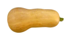 Kungull Supe