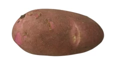 Patate Kuqe