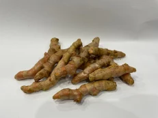 Tumerik