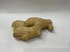 Ginger