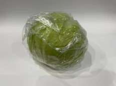 Iceberg