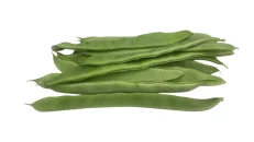 Mashurka Jeshile