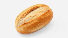 Panine