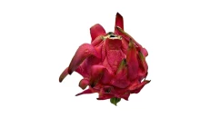 Dragon Red