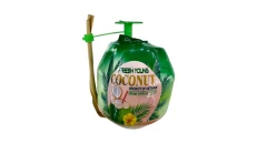 Coconut Juice Vietnam