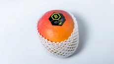 Mango Passion
