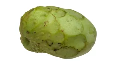 Cherimoya