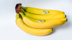 Banane Bana King