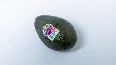 Avokado Bio