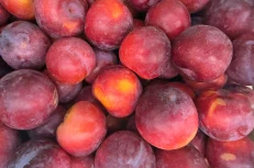 Kumbulla