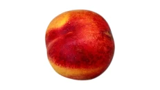 Nektarine Greke