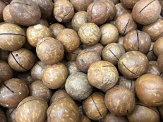Makadamia Kokërr