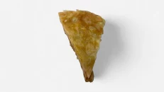 Byrek Shtëpie me Qepë & Domate