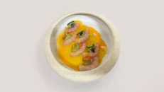 Red Shrimps Crudo