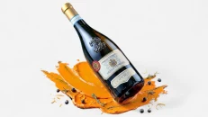 Pinot Grigio Delle Venezie