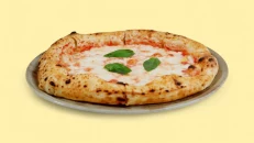 Pica Margarita