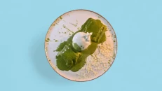 Ravioli me Krem Bufalo & Spinaq