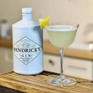 Another Hendrick's Gin