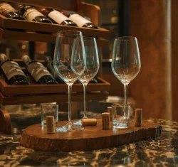 Wine Plus
