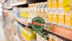 Spar Palase