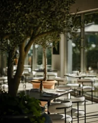 Mana Gastro Bar