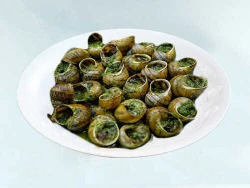 Escargot Bourguignonne