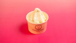 Yogurt i Mesëm