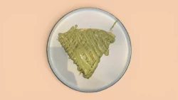 Keep Pistachio
