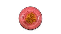 Bologneze