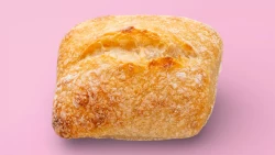 Panine