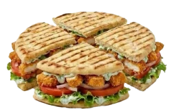 Skepasti