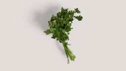 Majdanoz