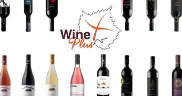Wine Plus