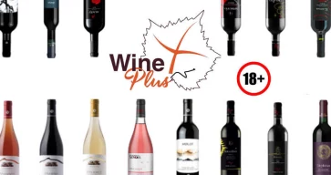 Wine Plus
